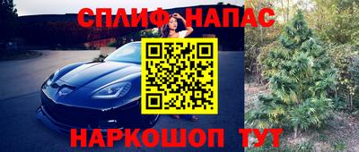 гидра Гусь-Хрустальный
