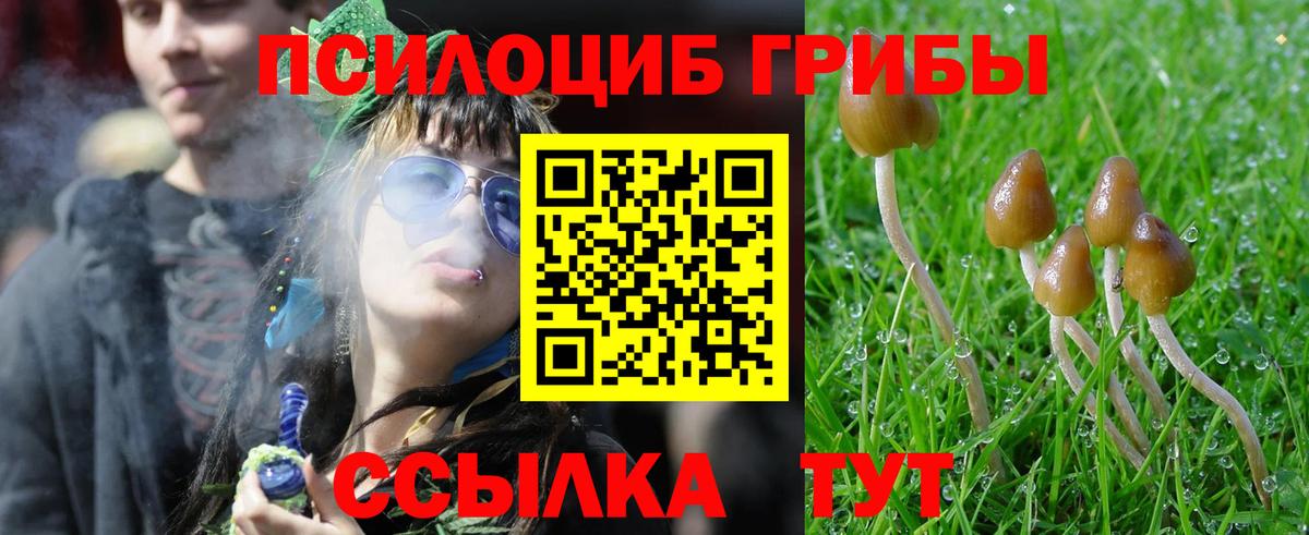Псилоцибиновые грибы мухоморы  Вход с VPN  Армавир  Псилоцибиновые грибы Cubensis 